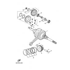 Коленчатый вал & Поршень