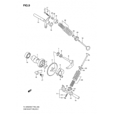 Cam shaft/valve