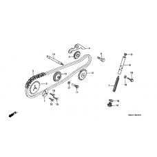 Cam chain/tensioner