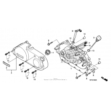 Right crankcase cover