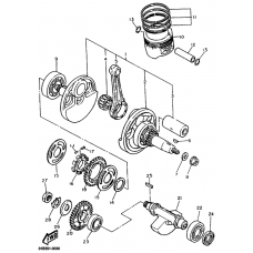 Crankshaft. piston