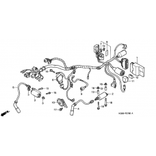Wire harness/ ignition coil