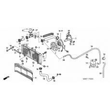 Radiator              

                  CB600N6/NA6