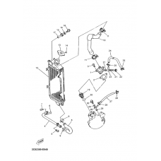 Radiator & hose