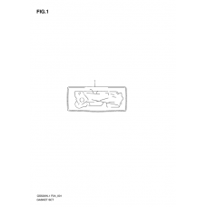 Front plate seal              

                  Gs500h