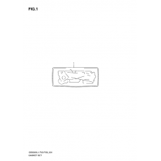 Front plate seal              

                  Gs500h p28