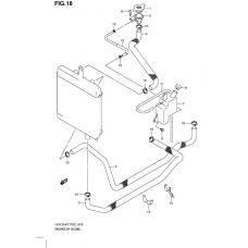 Radiator hose