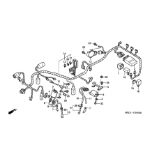 Wire harness/ ignition coil