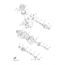 Crankshaft piston