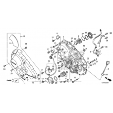 Right Crankcase Cover (Ctx700Nd)