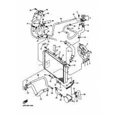 Radiator & hose