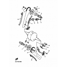 Распредвал & Цепь ГРМ