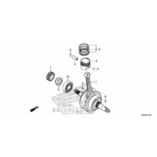 Crankshaft + piston