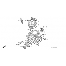 Cylinder/cylinder head