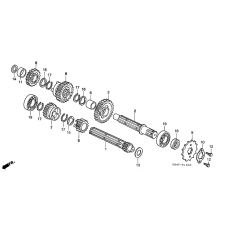 Transmission              

                  C50P/C50T