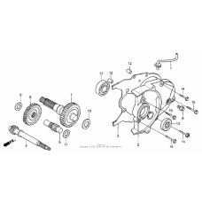 Трансмиссия