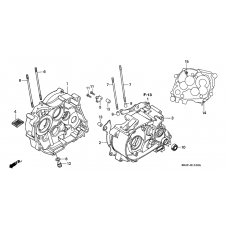 Crankcase              

                  CRF100F