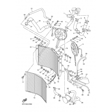 Radiator & hose