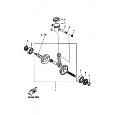 Crankshaft piston