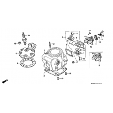 Cylinder/ cylinder head