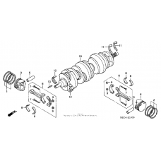 Crankshaft + piston