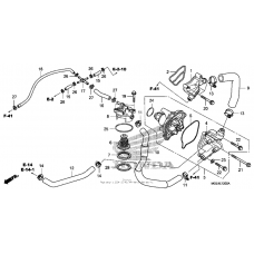 Водяной насос