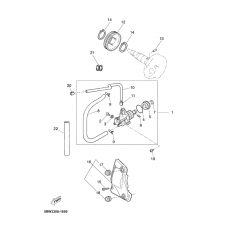 Oil pump              

                  MARIN GEAR