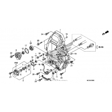 Rear crankcase cover