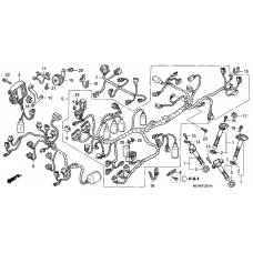 Harness wire              

                  VFR800A