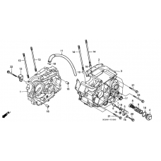 Crankcase              

                  1