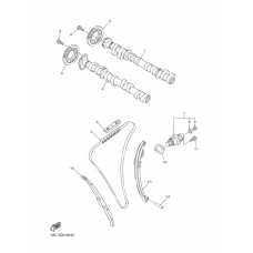 Camshaft & chain