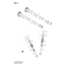 Camshaft/valve