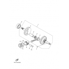 Crankshaft & piston