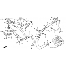 Water hose connection