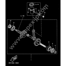 Ciguenal piston