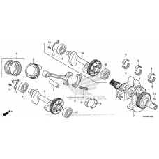 Коленчатый вал & Поршень