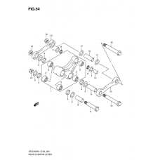 Rear cushion lever