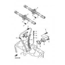 Распредвал & Цепь ГРМ