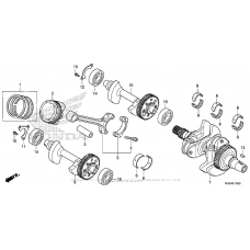 Коленчатый вал & Поршень