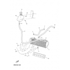 Radiator & hose