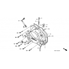 Right crankcase cover