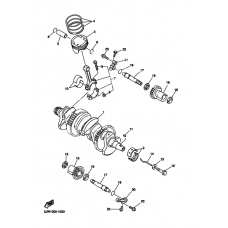 Crankshaft piston