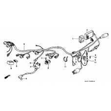 Wire harness/ ignition coil