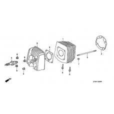 Cylinder/cylinder head