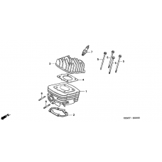 Cylinder/cylinder head