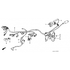 Wire harness/ ignition coil