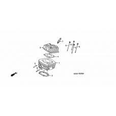 Cylinder/cylinder head