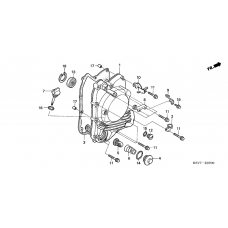 Right crankcase cover