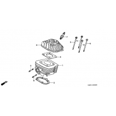 Cylinder/cylinder head