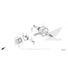 Коленчатый вал & Поршень